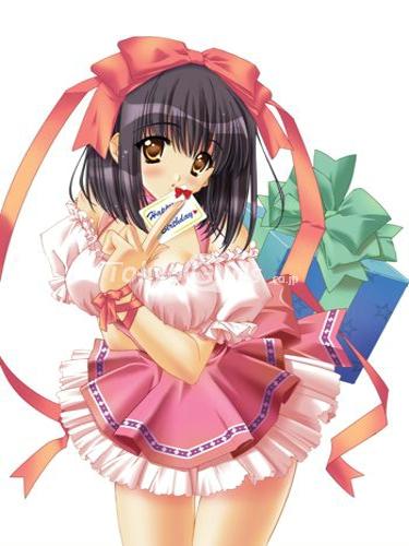 Carnelian High-Res Worksアニメ ベッド シーツ