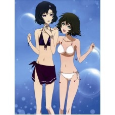 水着 ビキニ 美人 アニメシーツ