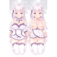 Re: ゼロから始める異世界生活 リゼロ エミリア エロ 抱き枕 カバー アニメ 18r 両面プリント