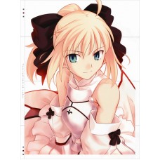 『Fate/unlimited codes』アニメシーツ