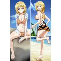 IS 〈インフィニット・ストラトス〉シャルロット・デュノア 透け透け 水着 アニメ 抱き枕 カバー